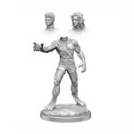 D&D Nolzur's Marvelous Miniatures - Headless Monster
