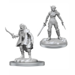 D&D Nolzur's Marvelous Miniatures - Elf Rogue & Half-Elf Rogue Protégé