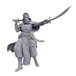 Pathfinder Battles Deep Cuts -  Desert Giant