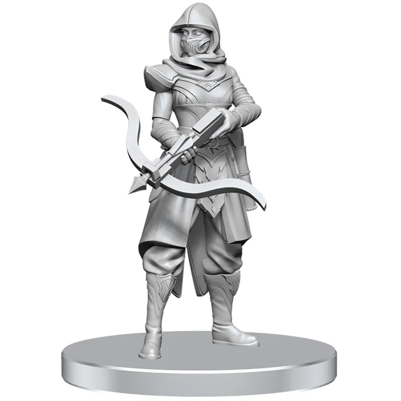 D&D Nolzur's Marvelous Miniatures - Assassin & Berserker