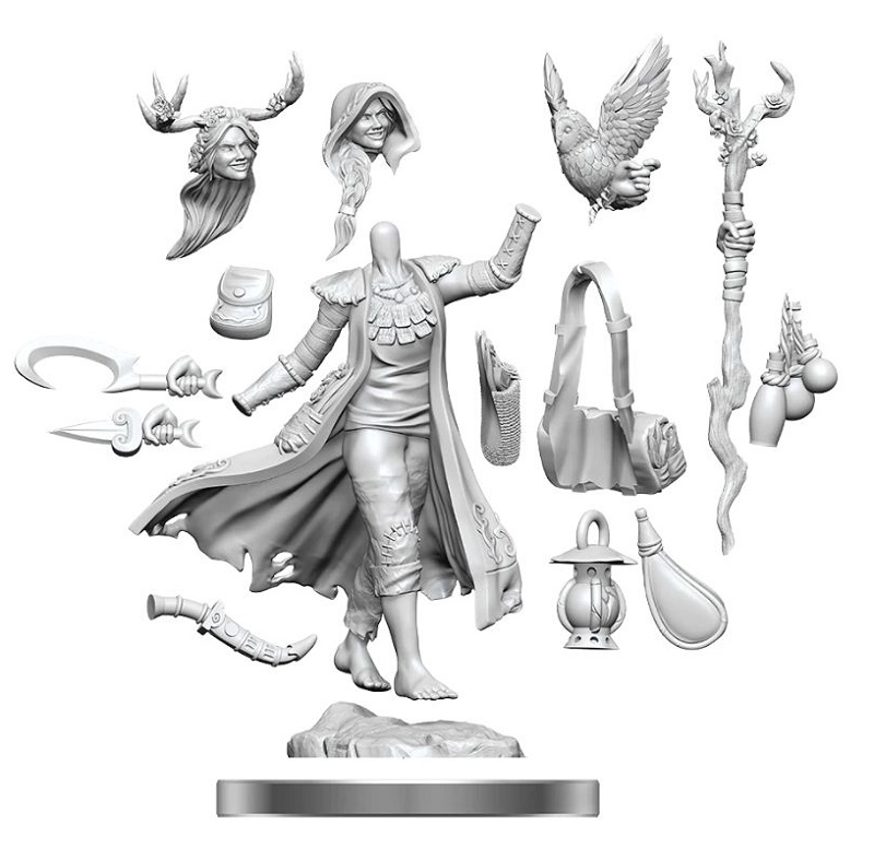 D&D Frameworks: Human Druid Female