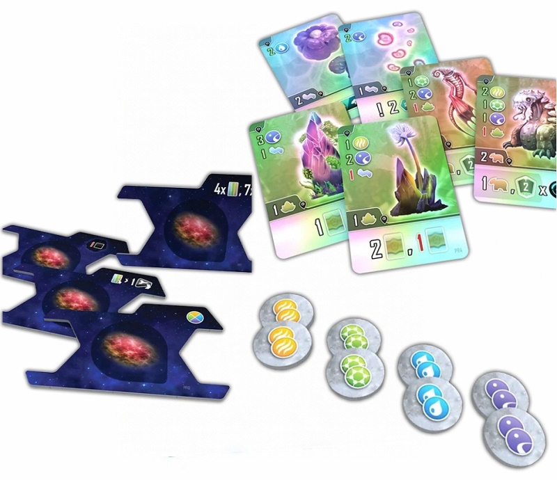 Bundle PROMO Entropy in Italiano