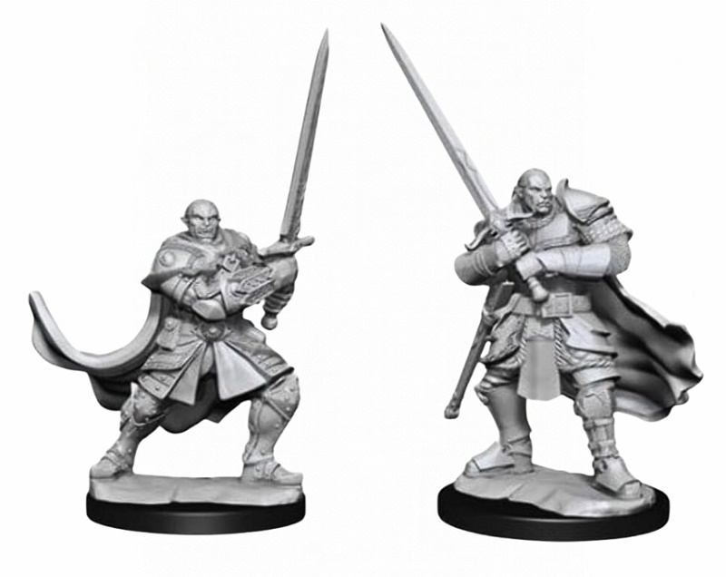 D&D Nolzur's Marvelous Miniatures - Half-Orc Paladin Male