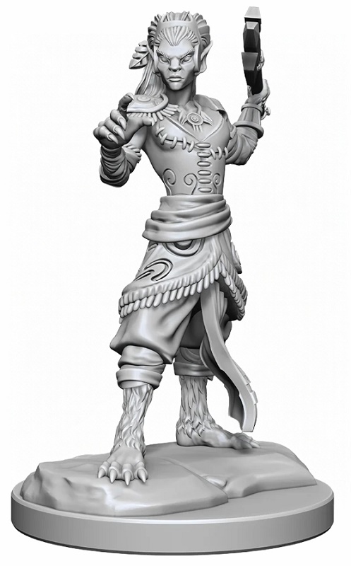 D&D Nolzur's Marvelous Miniatures - Shifter Fighter