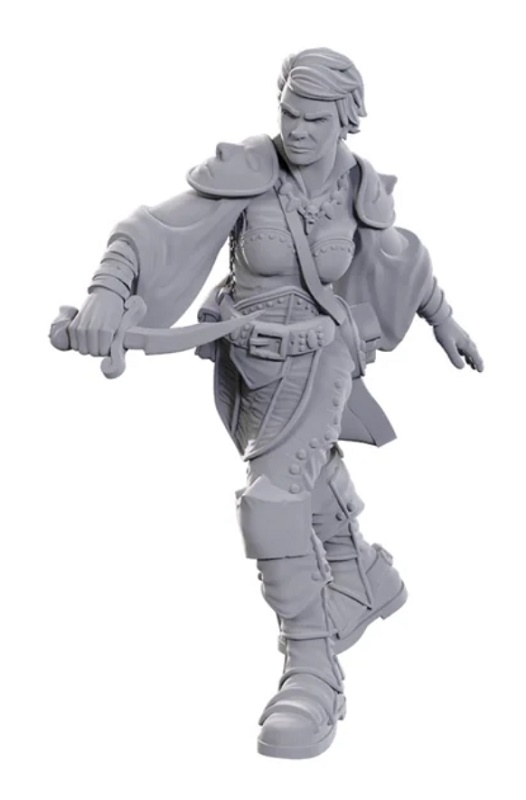 D&D Nolzur's Marvelous Miniatures - Swashbuckler