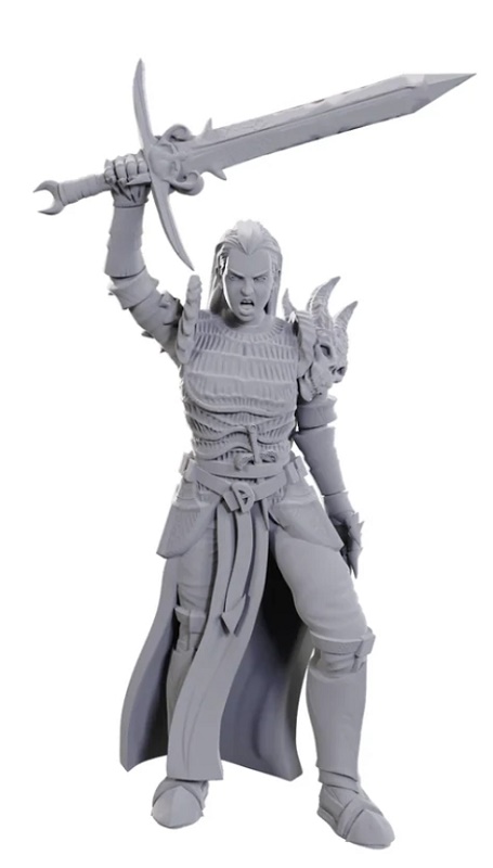 D&D Nolzur's Marvelous Miniatures - Blackguard