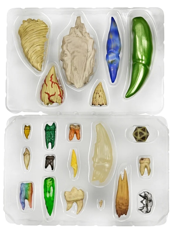D&D Replicas of the Realms: Teeth of Dahlver-Nar Artifact