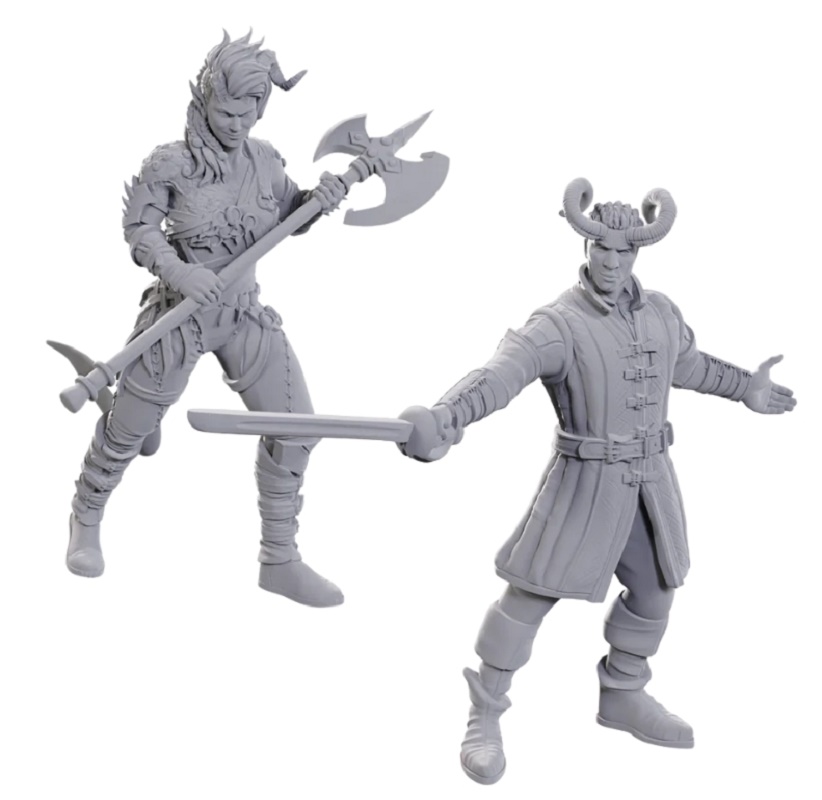 D&D Nolzur's Marvelous Miniatures - Special Edition Baldur's Gate 3 - Wyll & Karlach